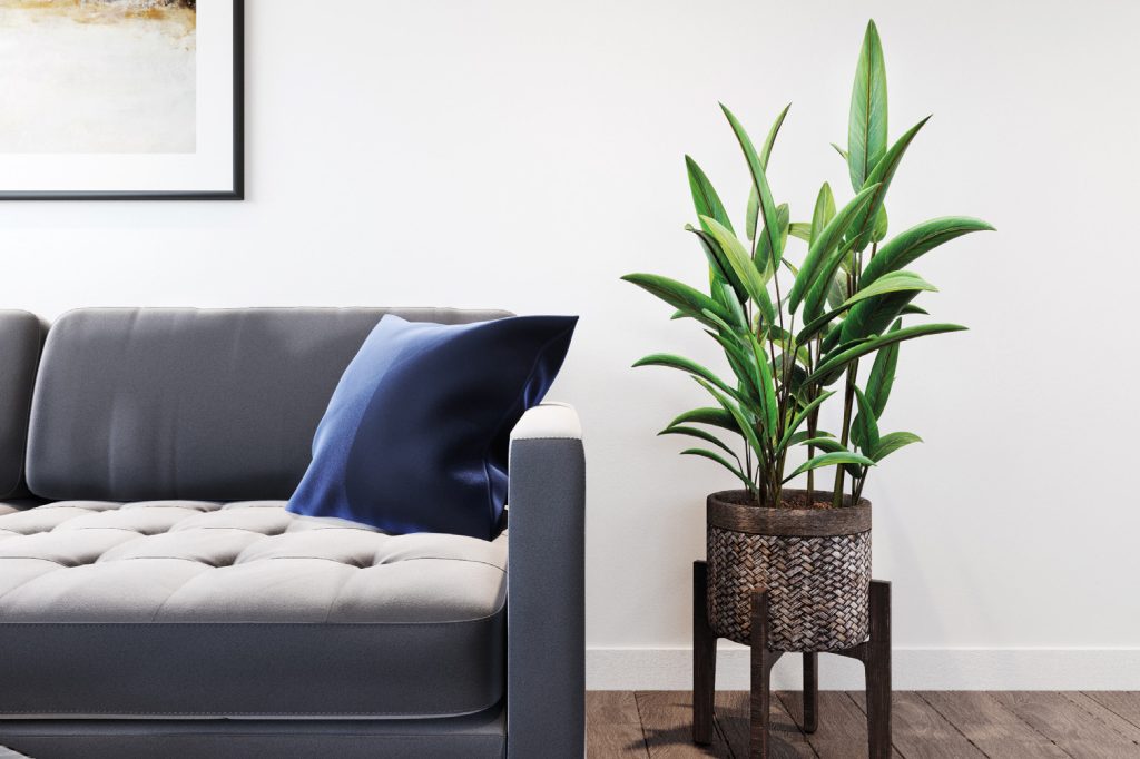 Sofa with a plant